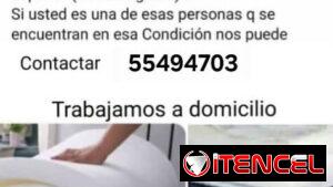 Reparación de colchones 55494703