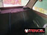 Carro polaco