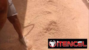 pienso criollo
