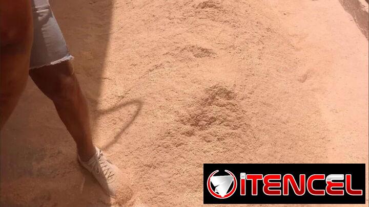 pienso criollo — foto 1