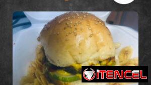 Hamburguesas, Sándwiches y Emparedados de atún y cebolla, Menú disponible y variado para toda ocasión (Kinetica)