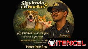 Veterinario a domicilio en toda La Habana. Para perros, gatos, cerdos...