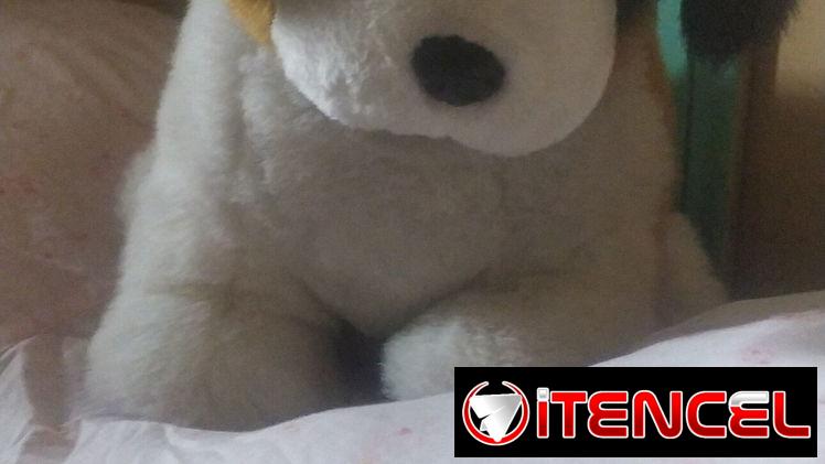 Vendo estos muñecos de peluches — foto 2