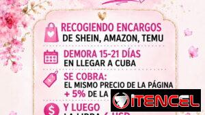 Recojo pedidos de Shein,Amazon,temu