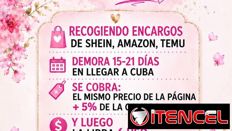 Recojo pedidos de Shein,Amazon,temu