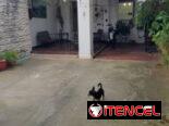 Casa muy grande 7/4, piscina, garage, NEGOCIO INCLUIDO  por 84y13 110m 53582376