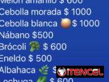 Semillas para sembrar en tu patio