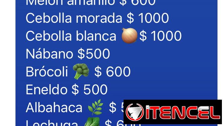 Semillas para sembrar en tu patio