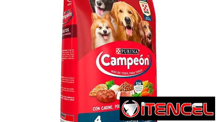 PIENSO PARA GATOS Y PERROS. Comidas húmedas y mucho más en Paraiso animal