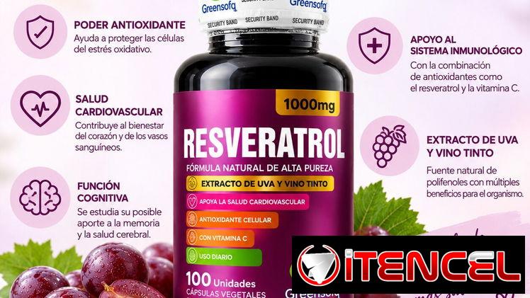 Resveratrol Suplemento Natural Salud Cardiovascular Sistema inmunologico Envejecimiento saludable Antioxidante Cerebral — foto 4