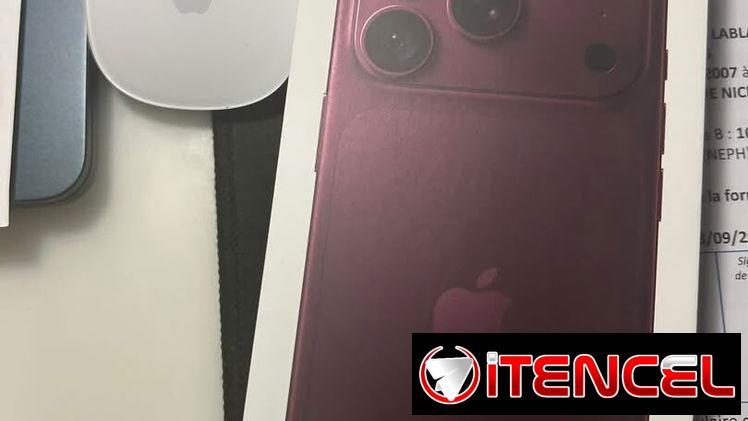 Celulares y accesorios