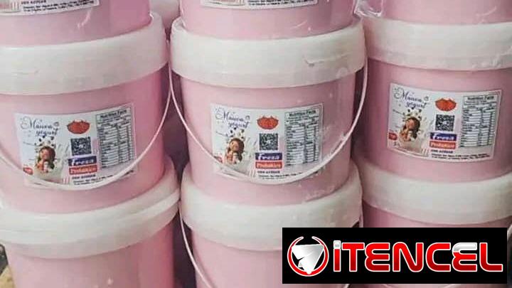 YOGURT PROBIÓTICO DE CUAGULO. — foto 3