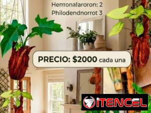 3d6a7b6278462188aa80496d0b62cf67586ad2c7827f4cdf8ef84d5e14536961