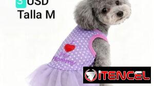 Ropa de perrita