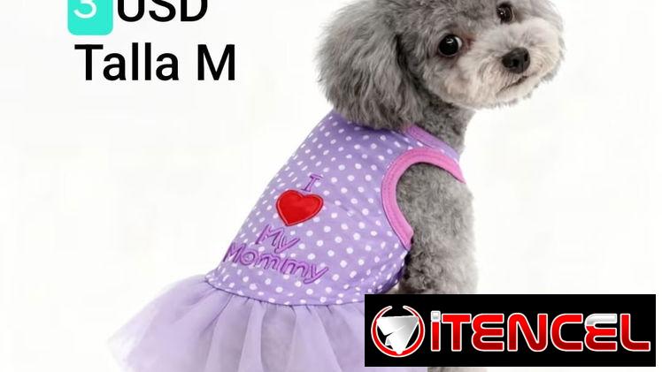 Ropa de perrita — foto 1