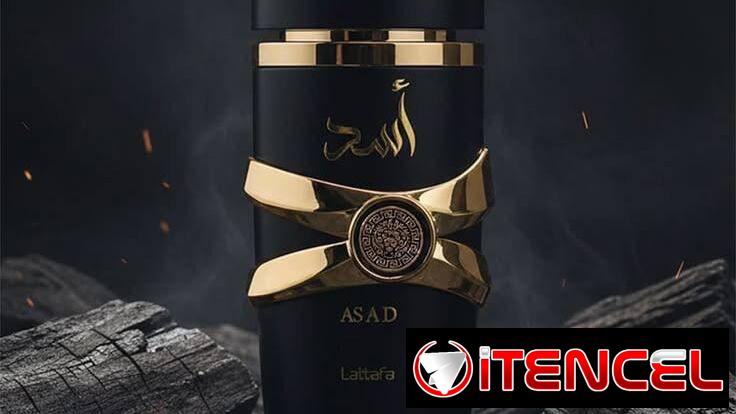 Lattafa Asad Fuerza, carácter y misterio. Famoso por su ADN especiado y profundo, sus notas de pimienta y café crean una — foto 1
