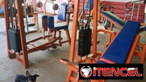 GIMNACIO EN PLAYA CON MÁQUINAS DE PESAS, CLASES GRUPALES DE AERÓBICOS, DANCE FIT, CALISTENIA