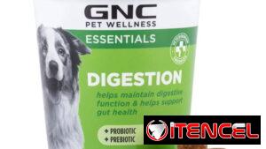 Probióticos para perros y gatos