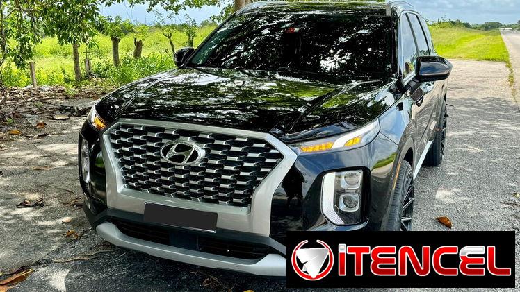 Hyundai Palisade Calligraphy 2022 — foto 2