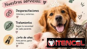 VETERINARIA A DOMICILIO