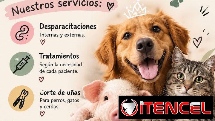 VETERINARIA A DOMICILIO
