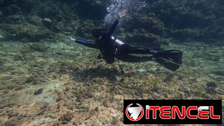 Experiencias y cursos de buceo — foto 3