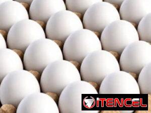433c8db7fa9f8c7b16336d4b80c7f319739b9e46b054cce01d1b886e2042c7ef