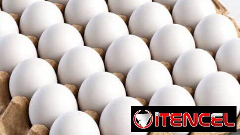 Huevos blancos