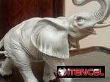Bello elefante antiguo