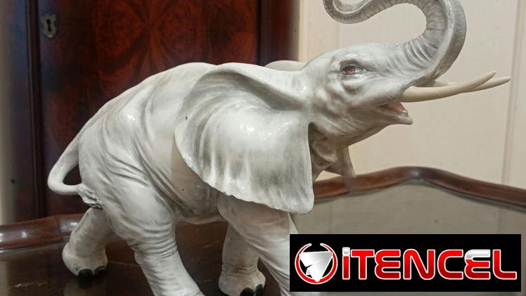 Bello elefante antiguo