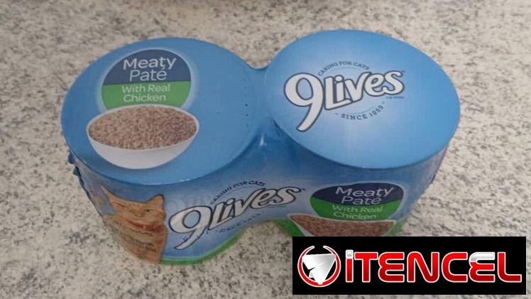 comida seca para gatos