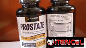 Prostate