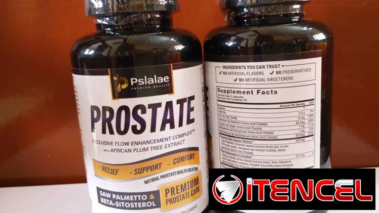 Prostate