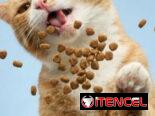 Excelente comida para gatos *Bolsa sellada 1kg ➡️Con Mensajería