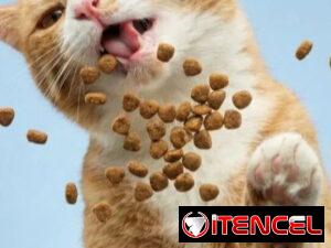 4a423218204a07b97b0d38de8a8fabbd4fcc5975c6ad13eb099cb4b4132a2c00