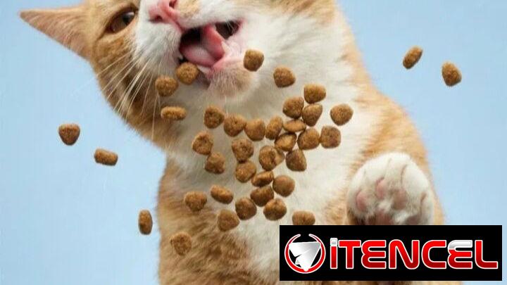 Excelente comida para gatos *Bolsa sellada 1kg ➡️Con Mensajería