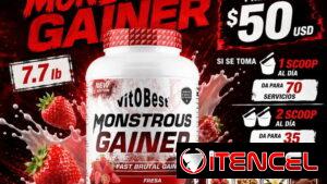 Mass Gainer Vitobest Monstrous Gainer 7.7lb 50 usd