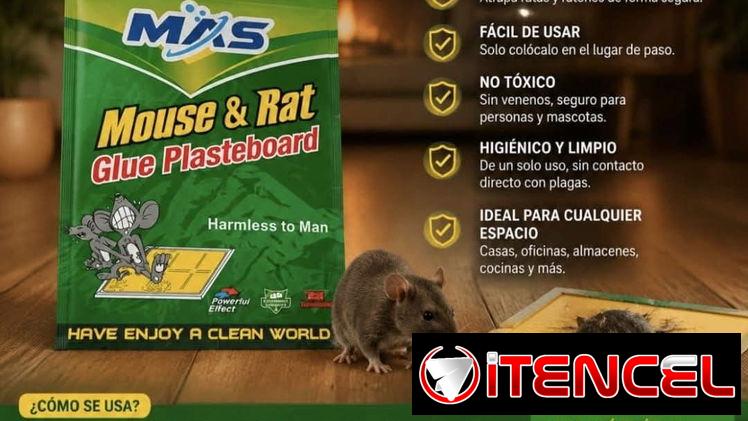 Trampas pega para ratón por unidad y al por mayor