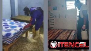 FUMIGADOR A DOMICILIO Plagakø «52002914»