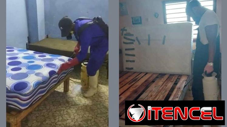 FUMIGADOR A DOMICILIO Plagakø «52002914»