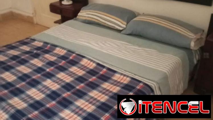 Alquiler lineal para negocio o renta Vedado — foto 1