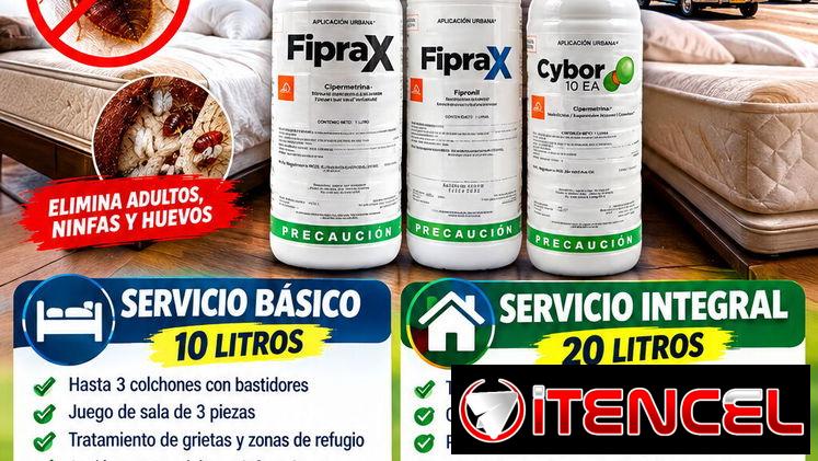 ¡ Fumigación. Servicio de Fumigación contra Chinches de Cama en La Habana