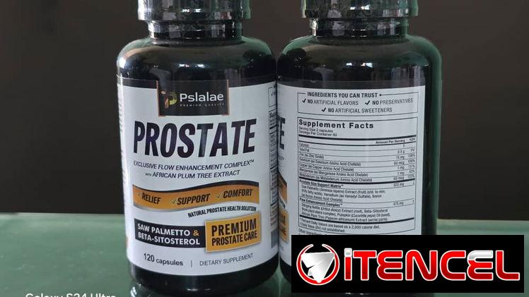 Prostate