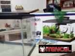 Excelente pecera nueva en su caja