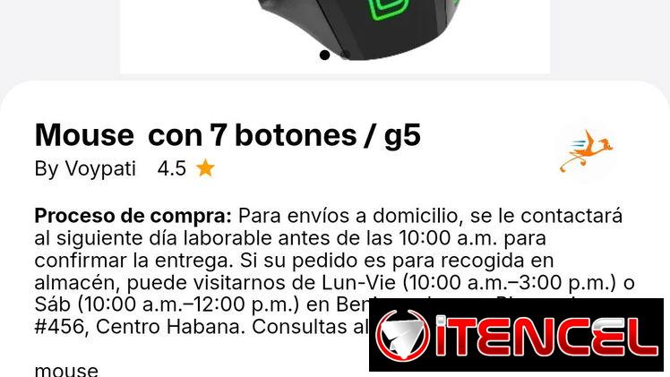Mouse/ ratón — foto 2