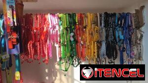 Collares para Perros Medianos y Pequeños