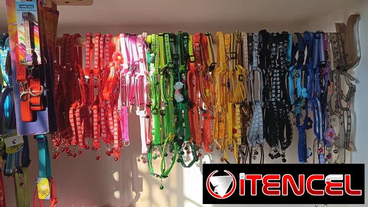 Collares para Perros Medianos y Pequeños