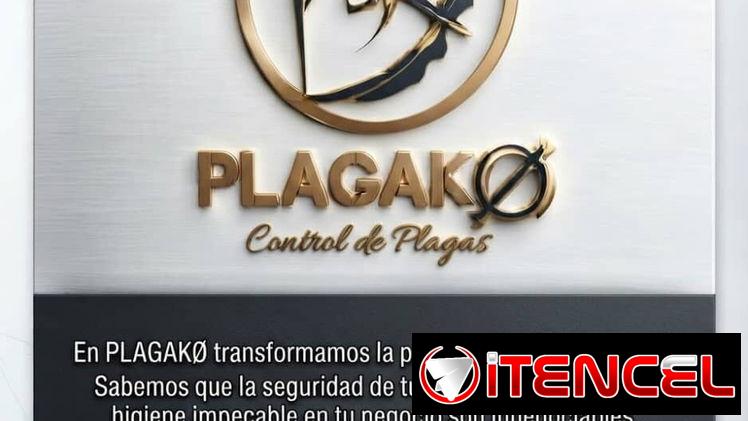 Fumigación Solo Con PlagaKØ