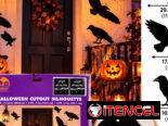 HALLOWEEN 🎃 ¡La magia de HALLOWEEN 🎃 llegó!