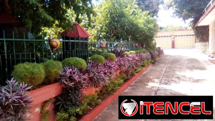 servicios de Jardinería — foto 2